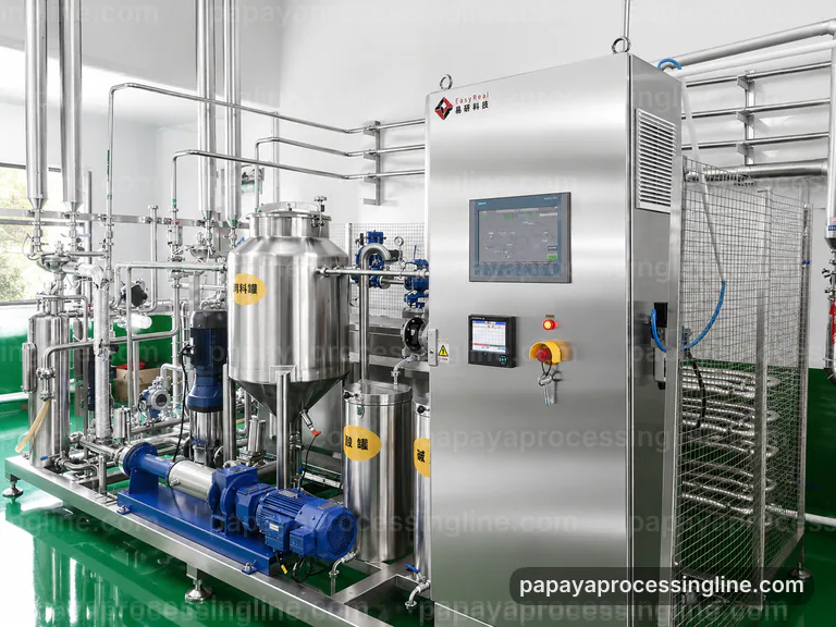 industrial papaya puree processing line project procurement map technical reference image