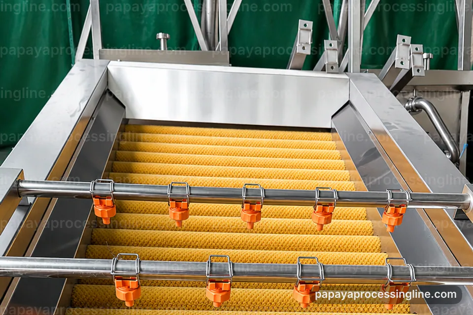 industrial papaya puree processing line, process scope and configuration: papaya seed removal station operating stage
