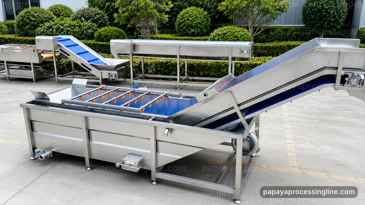 industrial papaya puree processing line layout and lifecycle technical reference image