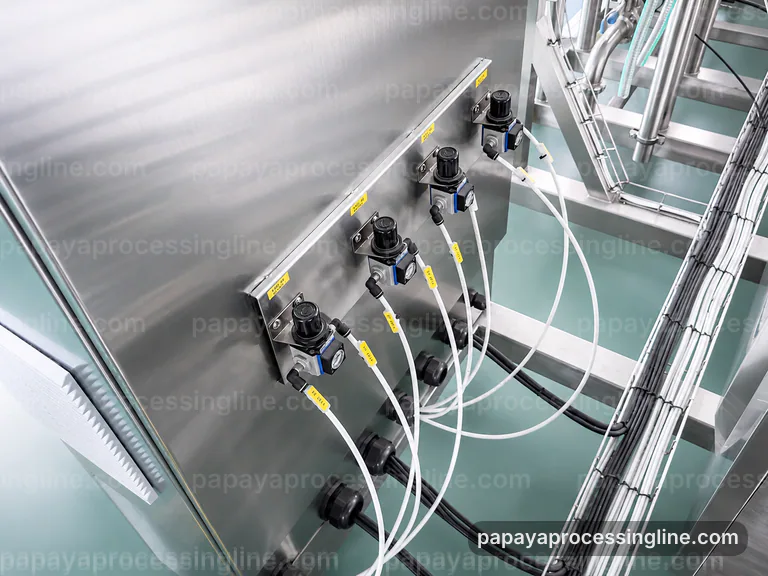 Industrial Papaya Puree Processing Line Layout And Lifecycle Media Slot industrial papaya puree processing line layout and lifecycle technical reference image