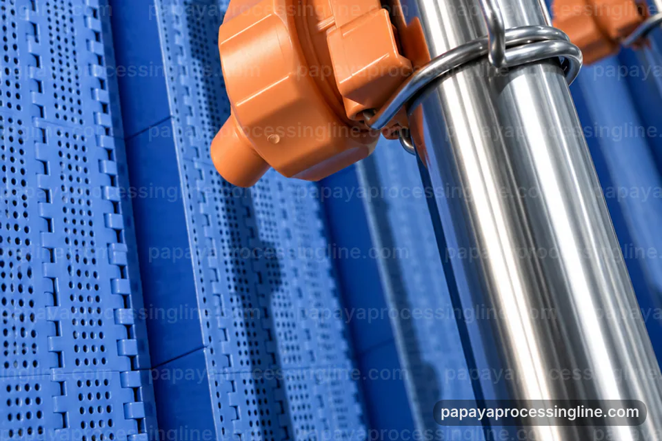 Industrial Papaya Puree Processing Line Layout And Lifecycle Media Slot industrial papaya puree processing line layout and lifecycle technical reference image