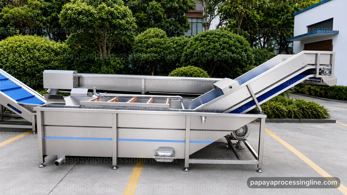 industrial papaya puree processing line raw material behavior technical reference image