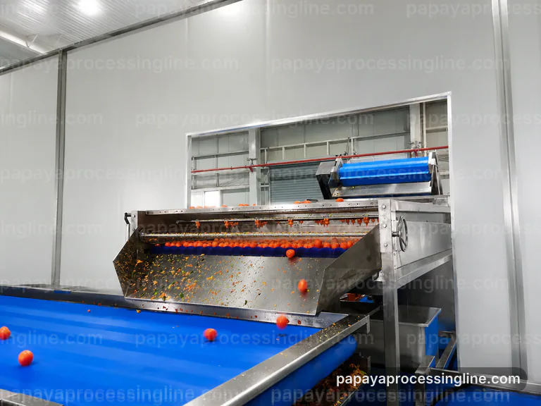Industrial Papaya Puree Processing Line Raw Material Behavior Media Slot industrial papaya puree processing line raw material behavior technical reference image