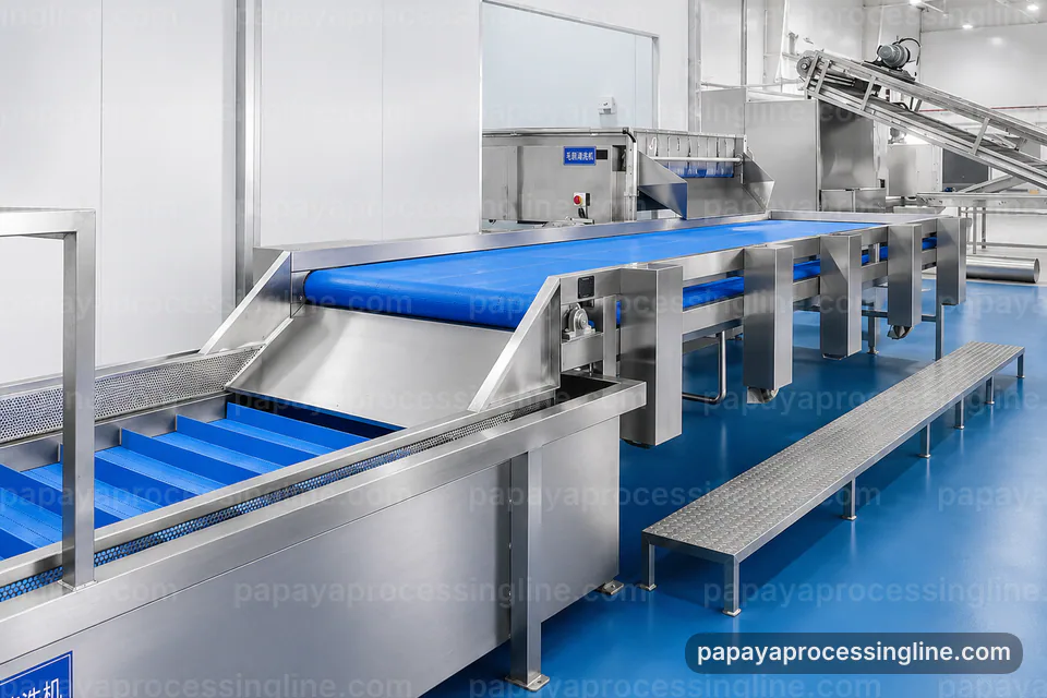 Industrial Papaya Puree Processing Line Complete Stage Sequence Media Slot industrial papaya puree processing line complete stage sequence technical reference image